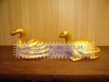 蛇 & 龜